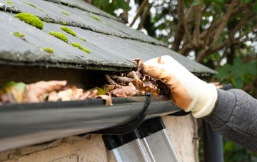 gutter cleaning Braehead